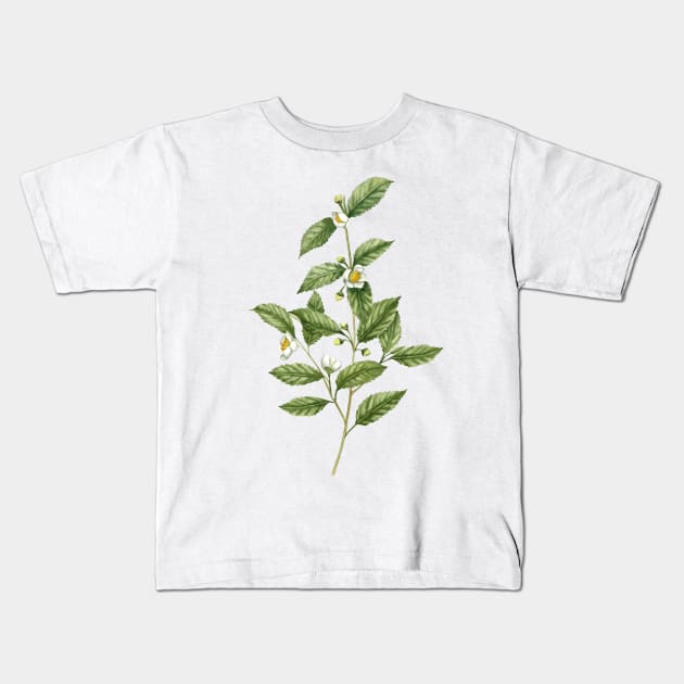 Watercolor tea plant artwork Kids T-Shirt by InnaPatiutko